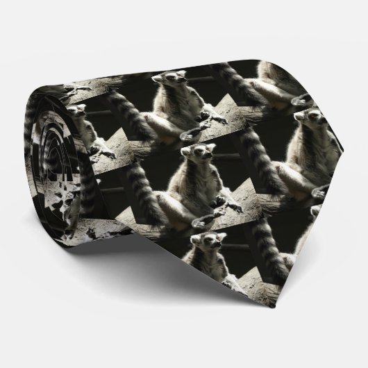 Cravate lémur de ringtail (Roulé)