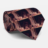 Cravate L'entrée Een de temple., par Aert De Gelder (Roulé)