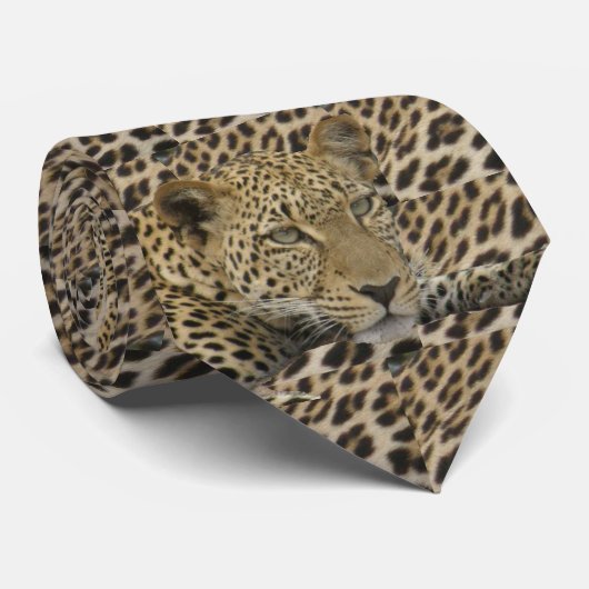 Cravate Léopards et taches (Roulé)