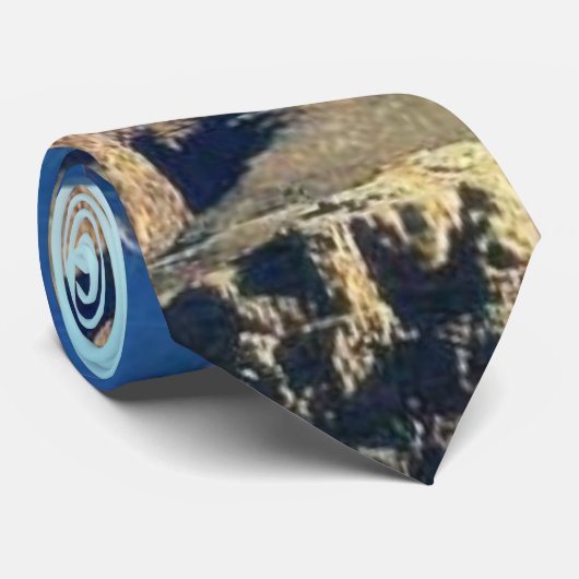 Cravate Les canyons grands donnent sur (Roulé)
