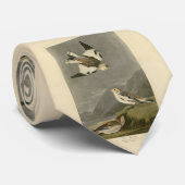 Cravate Les oiseaux d'Amérique de John James Audubon (Roulé)