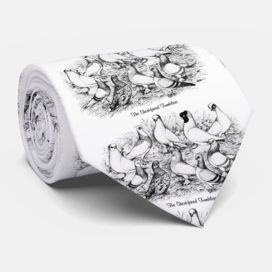 Cravate Les Pigeons Tumbler à courte vue (Roulé)