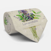 Cravate Levandula spica l (Roulé)