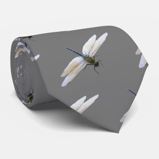 Cravate libellule (Roulé)