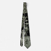 Cravate Lichen par Ernst Haeckel, Plantes de la nature vin (Dos)