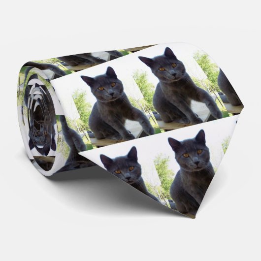 Cravate Lien orienté de cou de chat (Roulé)