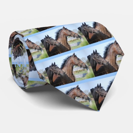 Cravate Ligne de fin de course de cheval (Roulé)