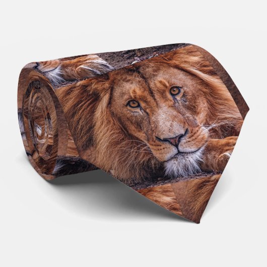Cravate Lion africain (Roulé)