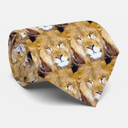 Cravate Lion Eyes (Roulé)