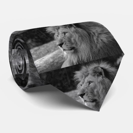 Cravate Lion noir et blanc - Animal sauvage (Roulé)
