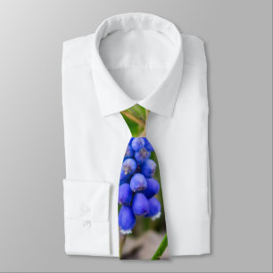 Cravate Lonely Grape Hyacinth