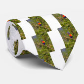 Cravate Lorikee arc-en-ciel (Roulé)