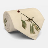 Cravate Louisiana Water Thrush, Audubon's Birds of America (Roulé)