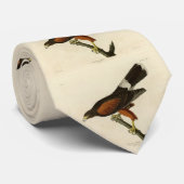 Cravate Louisiane (Harris's) Hawk Audubon Birds of America (Roulé)