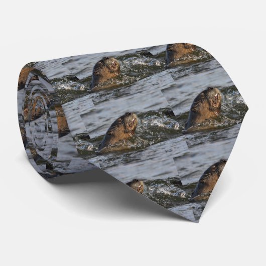 Cravate loutre de rivière (Roulé)