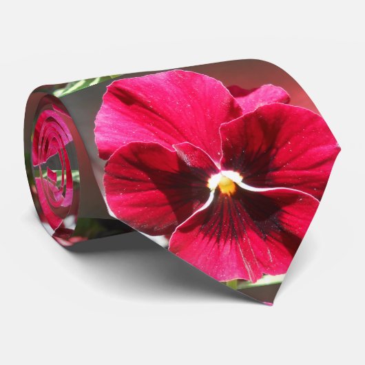 Cravate Lucrezia (Roulé)