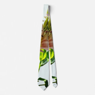 Cravate Lys rose pâle rétroéclairés