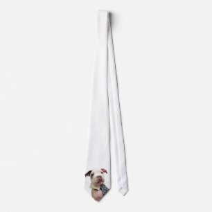 Cravate M. Fig Newton Tie