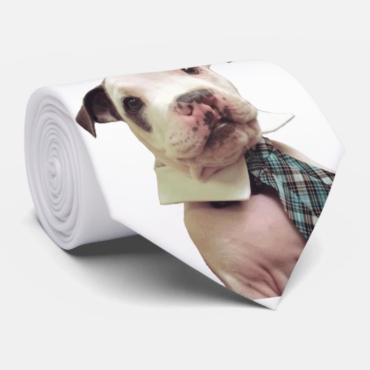 Cravate M. Fig Newton Tie (Roulé)