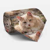 Cravate M. Handsome (Roulé)