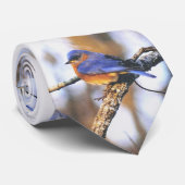 Cravate M. Truman, oiseau d'état du Missouri d'oiseau bleu (Roulé)