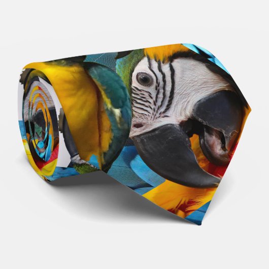 Cravate Macaw Bleu & Or (Roulé)