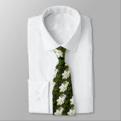 Cravate Magnolia White (Attaché)