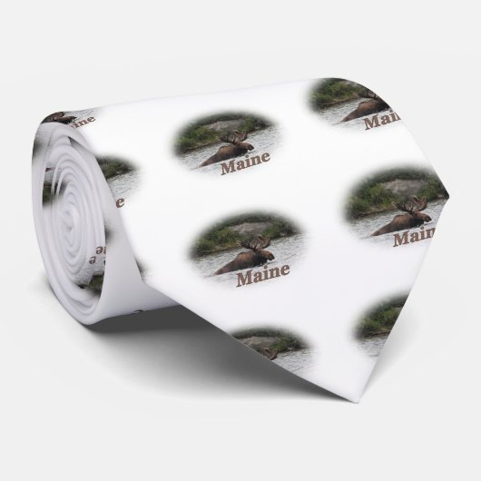 Cravate Maine Bull Moose (Roulé)