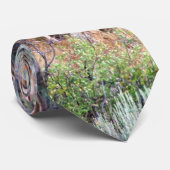 Cravate Mâle de velours (Roulé)