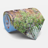 Cravate Mâle de velours (Roulé)