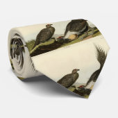 Cravate (Male Fowl) des Plaines Audubon Birds of America (Roulé)