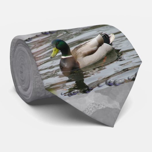 Cravate Mallard (Roulé)