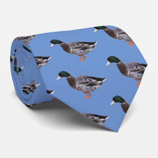 Cravate Mallard (Roulé)