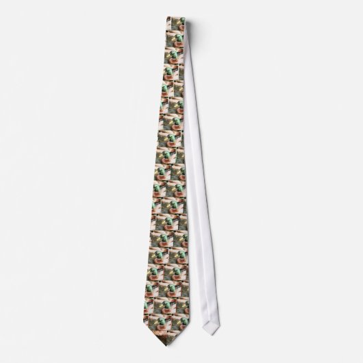 Cravate Mallard Drake (Devant)