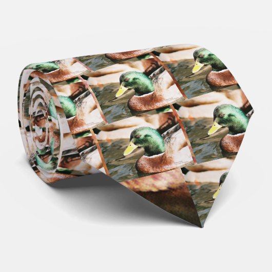 Cravate Mallard Drake (Roulé)