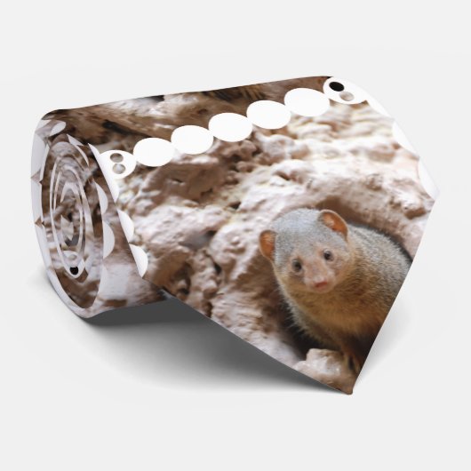 Cravate Mangouste (Roulé)