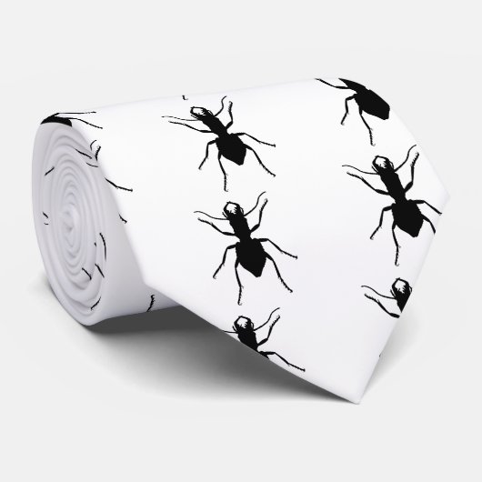 Cravate Manticora tuberculata (Roulé)