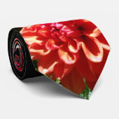 Cravate Mariage Sash/cravate "de dahlia rouge-rose" (Roulé)