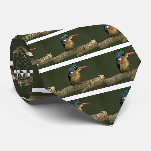 Cravate Martin-pêcheur de malachite (Roulé)