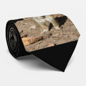 Cravate Meerkat20160203 (Roulé)