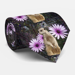 Cravate Meerkat Et Daises,