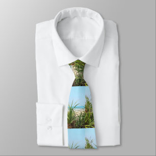 Cravate mer, plage, palme, nature, été, arbre, tropical,