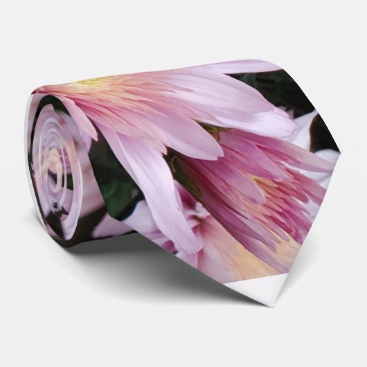 Cravate Mère rose (Roulé)