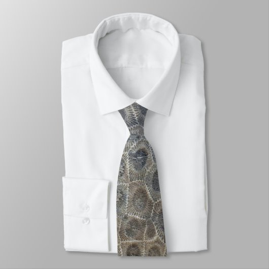 Cravate Michigan Petoskey Stone Design (Attaché)