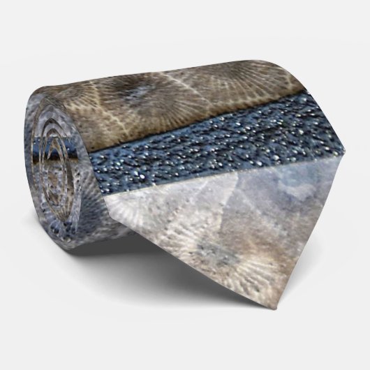 Cravate Michigan Petoskey Stone Design (Roulé)