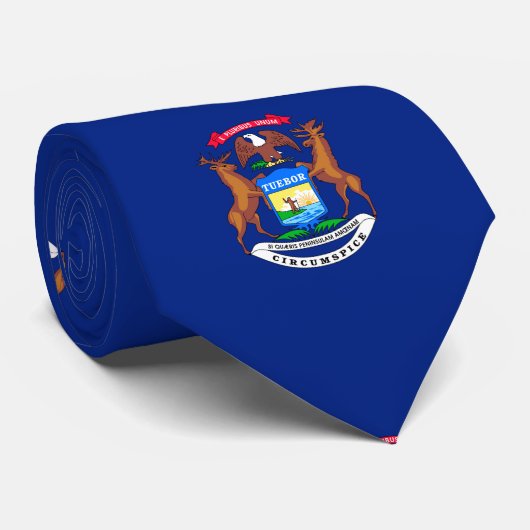 Cravate Michigan State Flag Design (Roulé)