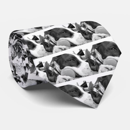 Cravate mignon chien pitbulle à l'air triste noir blanc av (Roulé)