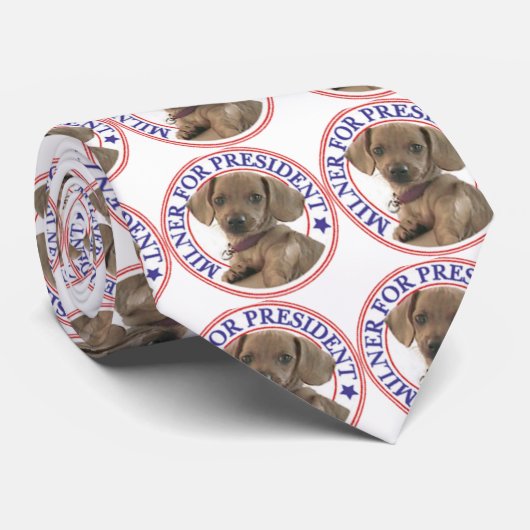 Cravate Milner pour le Président Tie (Roulé)