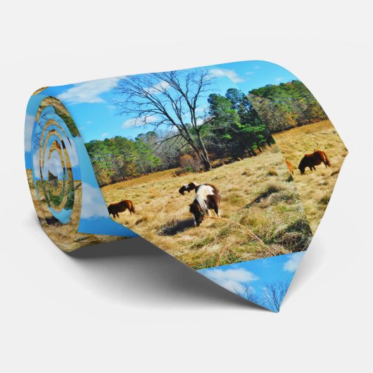 Cravate Mini Chevaux (Roulé)