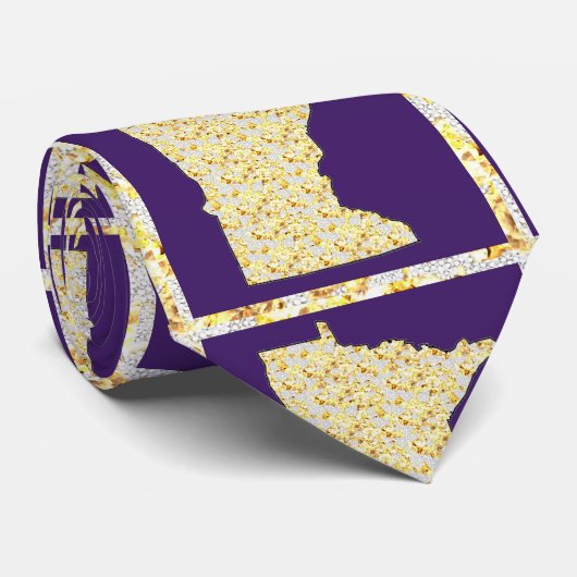 CRAVATE MINNESOTA (Roulé)